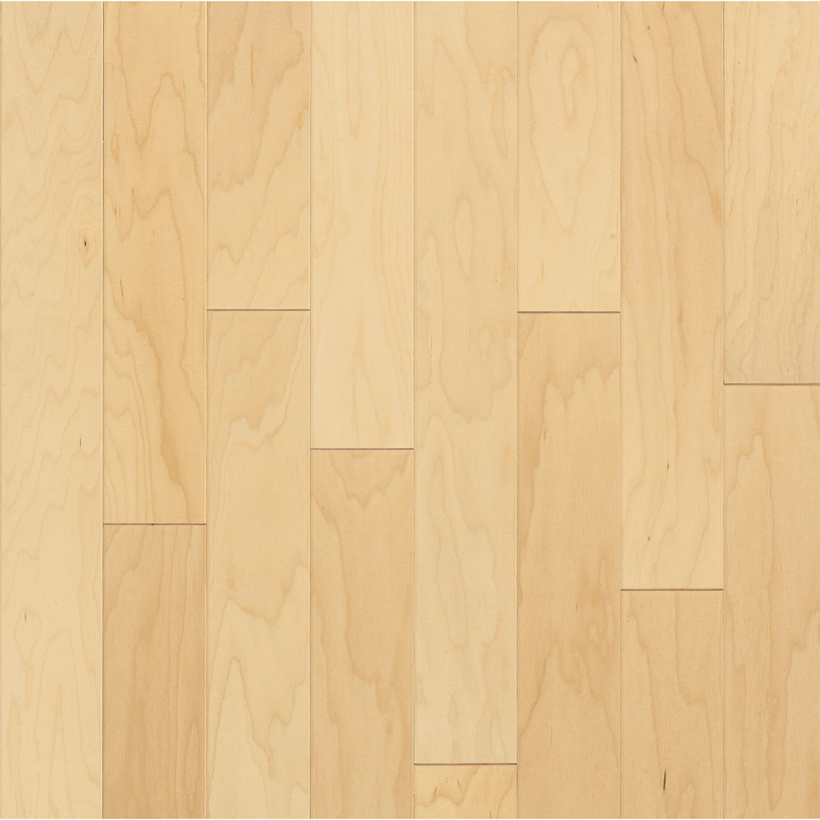 bruce-ema20lg-4716913