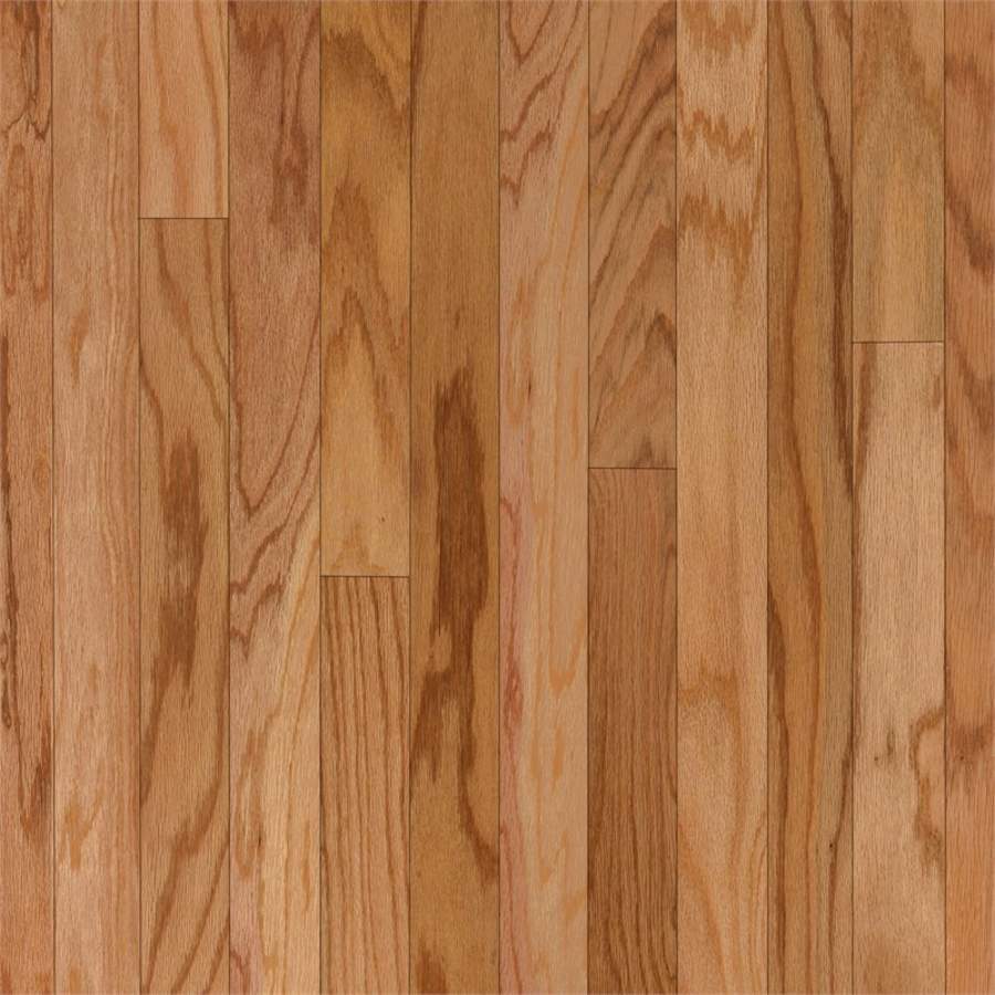 bruce-evs526s-sample-4716913