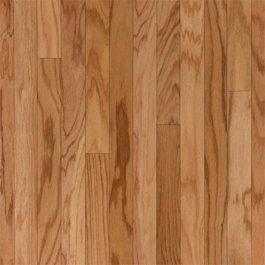 bruce-evs526s-sample-4716913 bruce-evs526s-sample-4716913