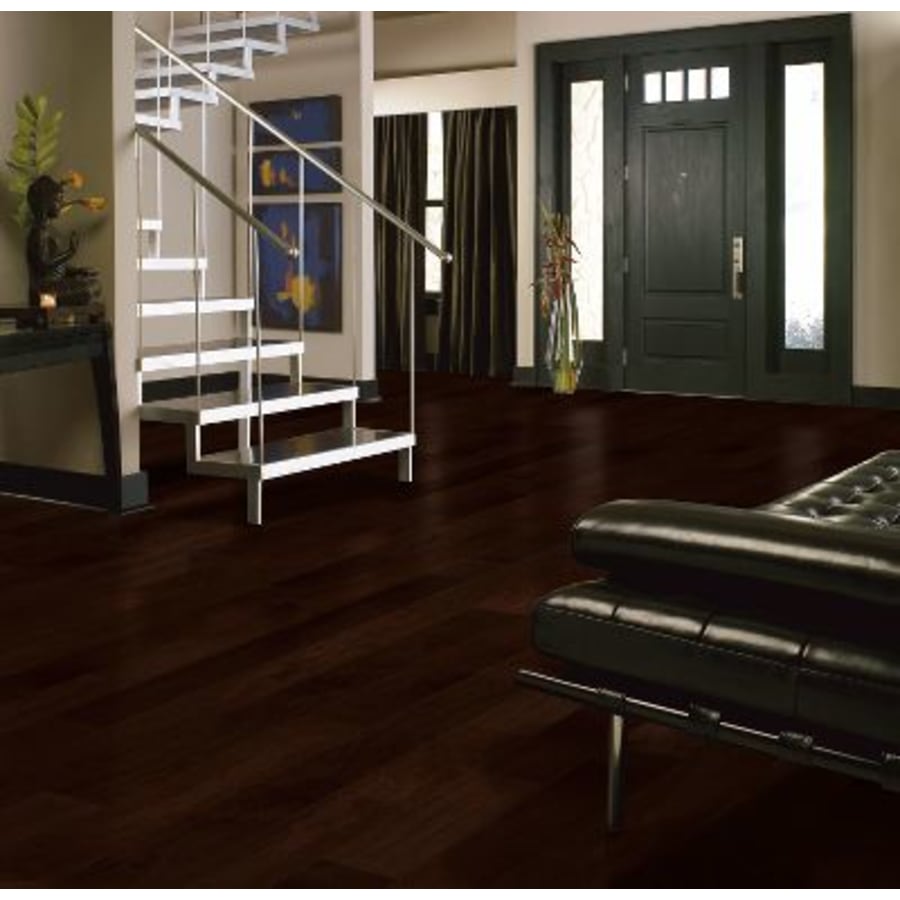 bruce-wewt22-front-door-4864422 bruce-wewt22-front-door-4864422