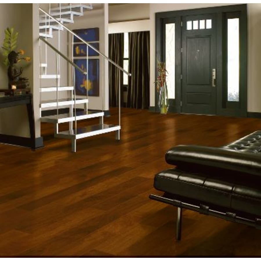 bruce-wewt30-front-door-4864422 bruce-wewt30-front-door-4864422