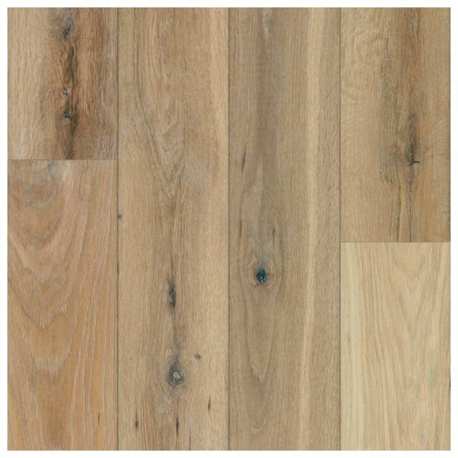 bruce-wfek6mc603w-8445550