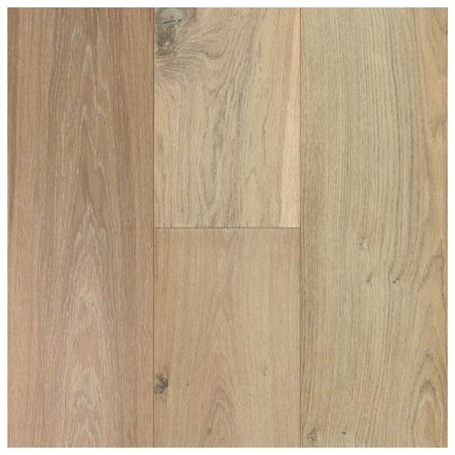 bruce-wfek9mc806w-8445550