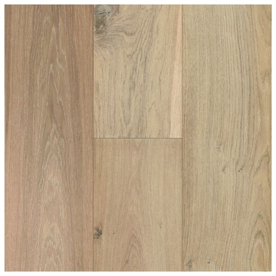 bruce-wfek9mc806w-8445550 bruce-wfek9mc806w-8445550