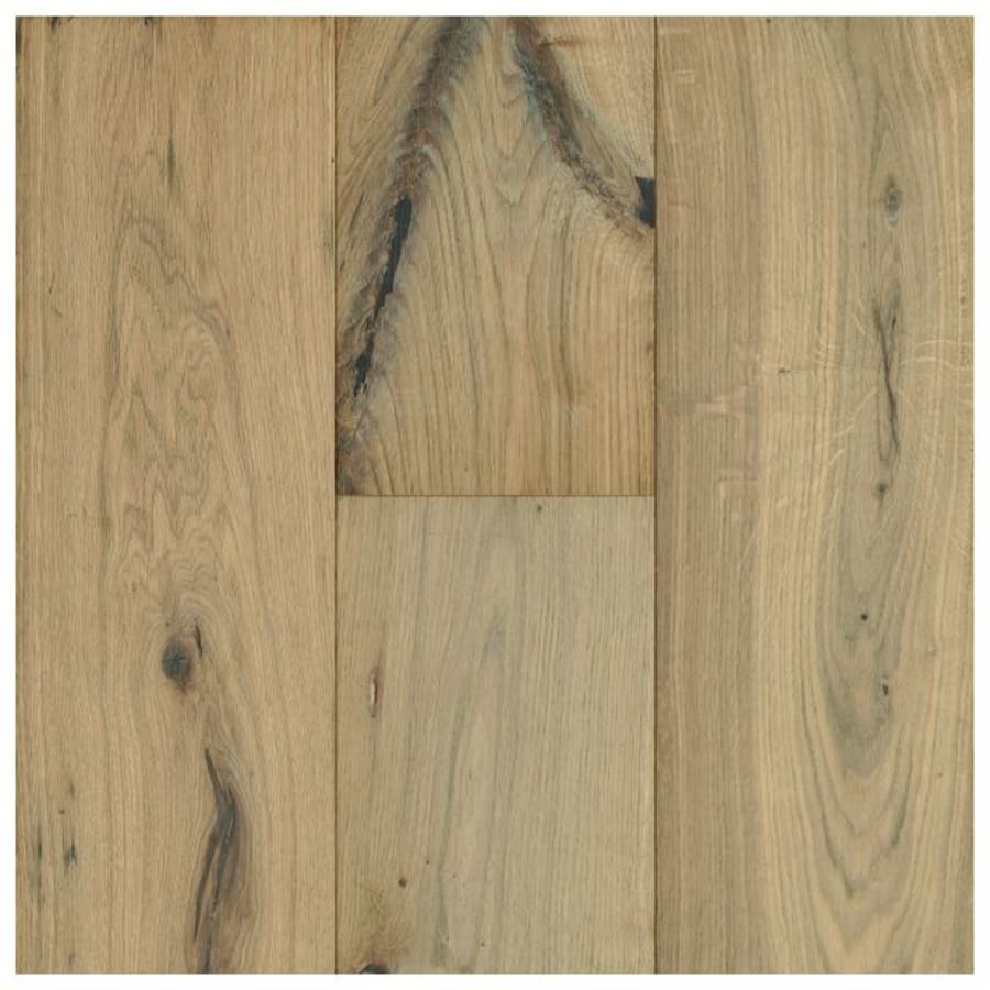 bruce-wfek9mc816w-8445550 bruce-wfek9mc816w-8445550