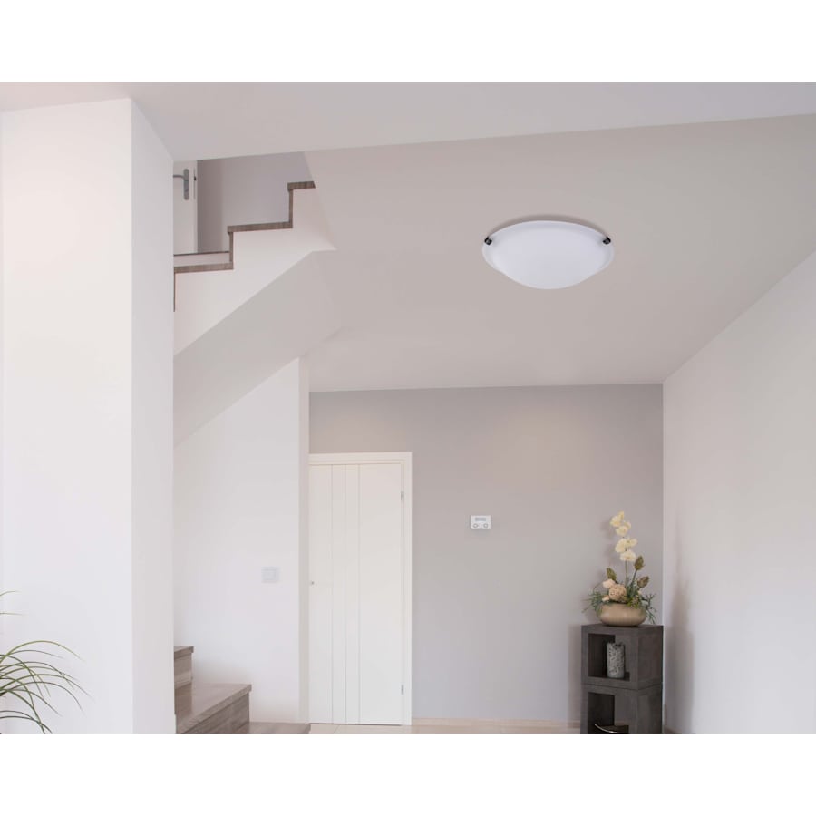 canarm-ifm161613-alternate-view-186