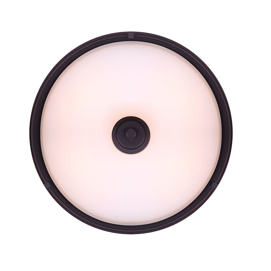 canarm-ifm421a15-alternate-view-218