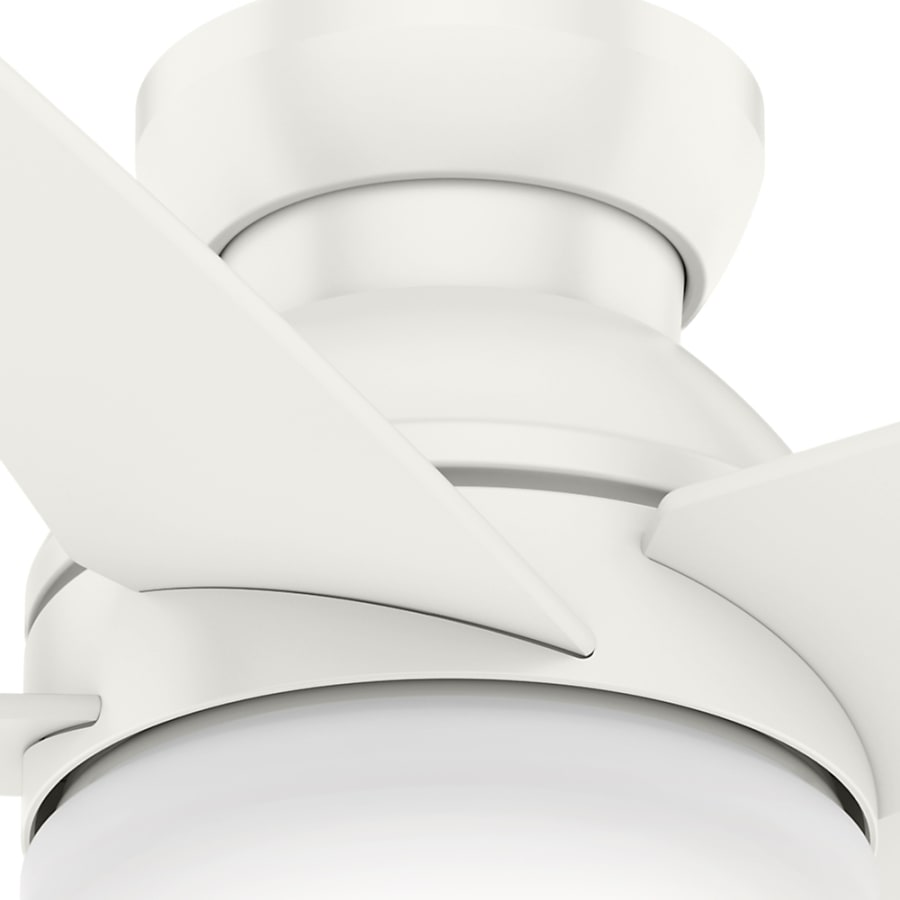 Alternate View