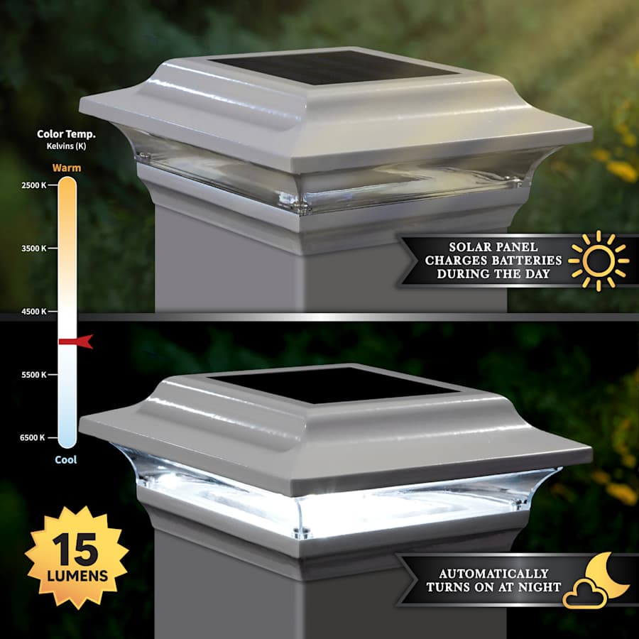 classy-caps-sl214-infographic-137