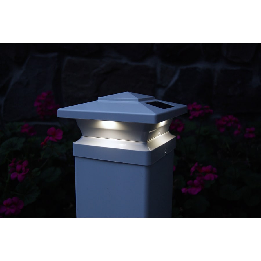 classy-caps-sl4455-gallery-image-33 classy-caps-sl4455-gallery-image-33