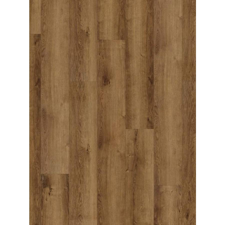 coretec-vv017-01004-9313928