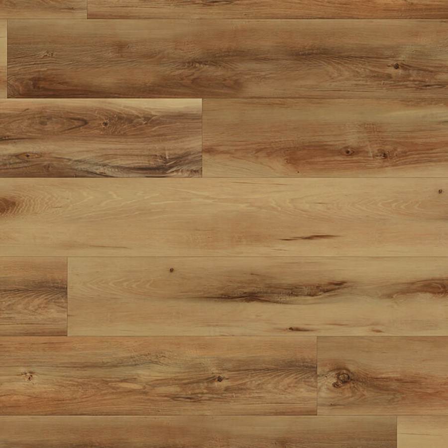 coretec-vv017-01005-sample-9313928