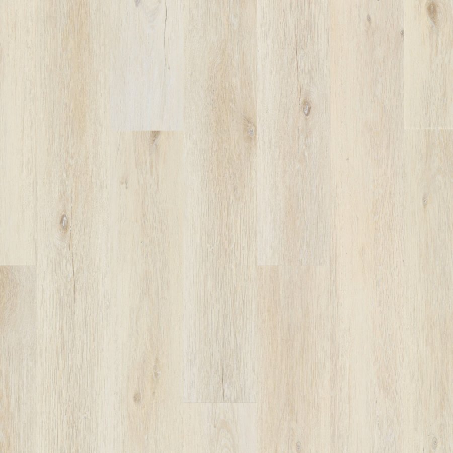 coretec-vv017-01023-9313928