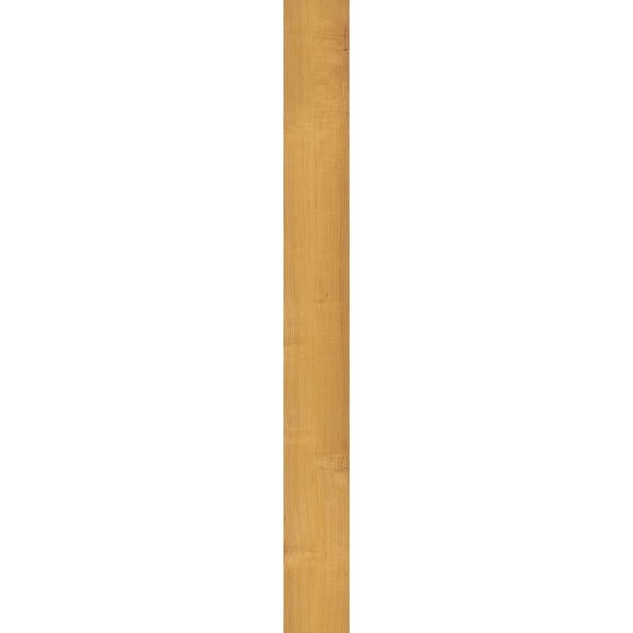 coretec-vv023-00505-9313928