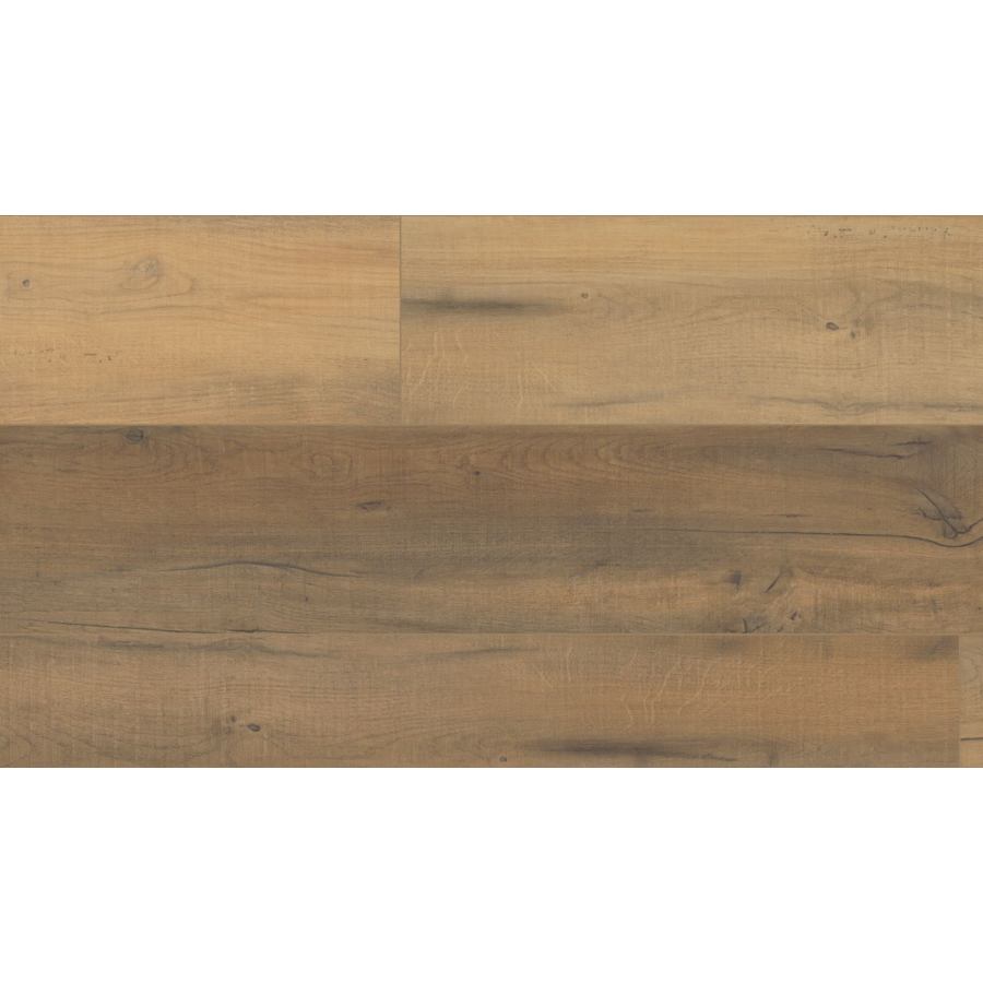 coretec-vv457-02904-736048