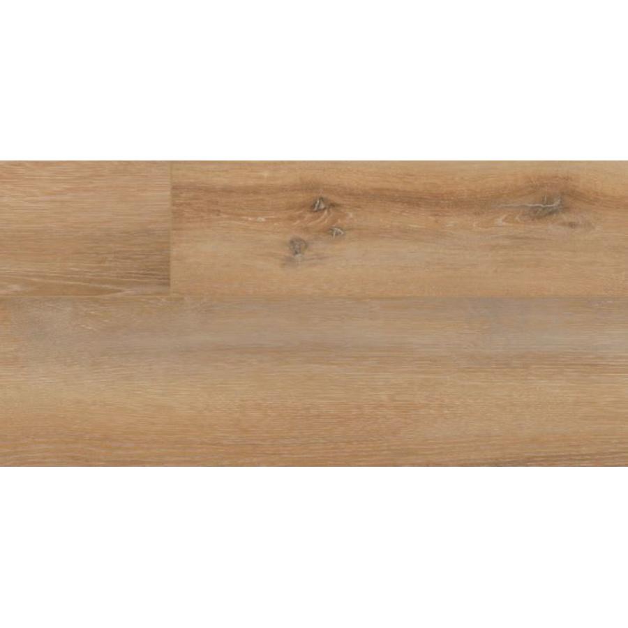 coretec-vv457-02908-736048