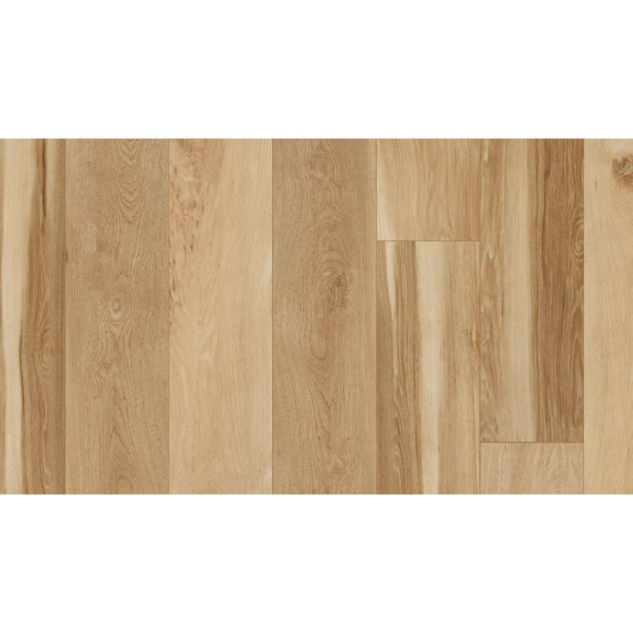 coretec-vv704-05021-736048