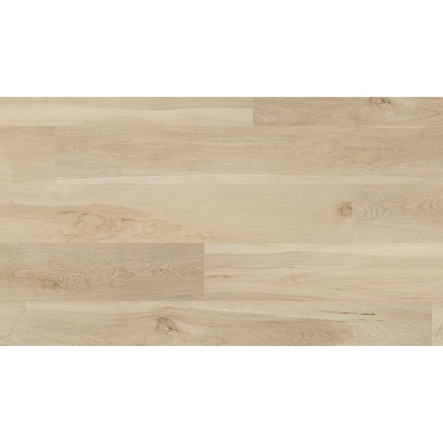 coretec-vv704-08005-736048