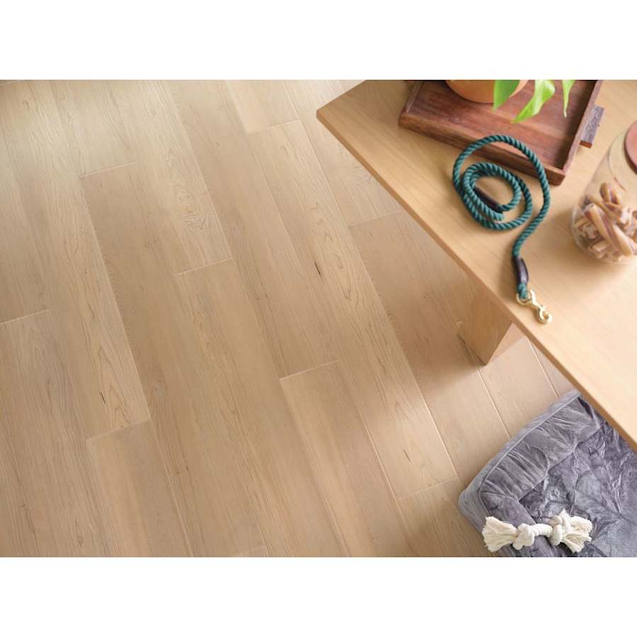 coretec-vv800-05035-alternate-image-8