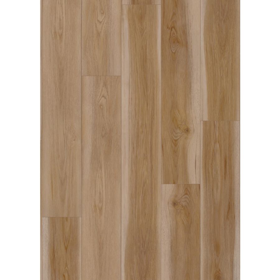 coretec-vv855-05063-3659937