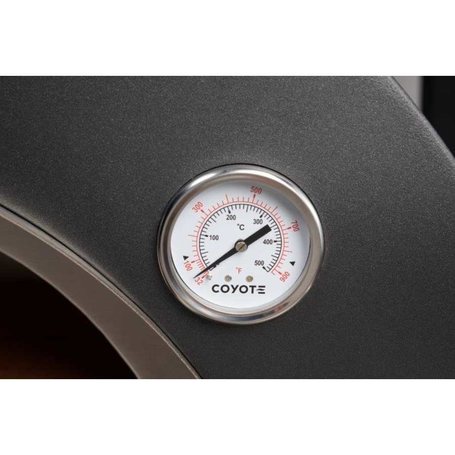 coyote-c1pz30hng-alternate-image-69 coyote-c1pz30hng-alternate-image-69