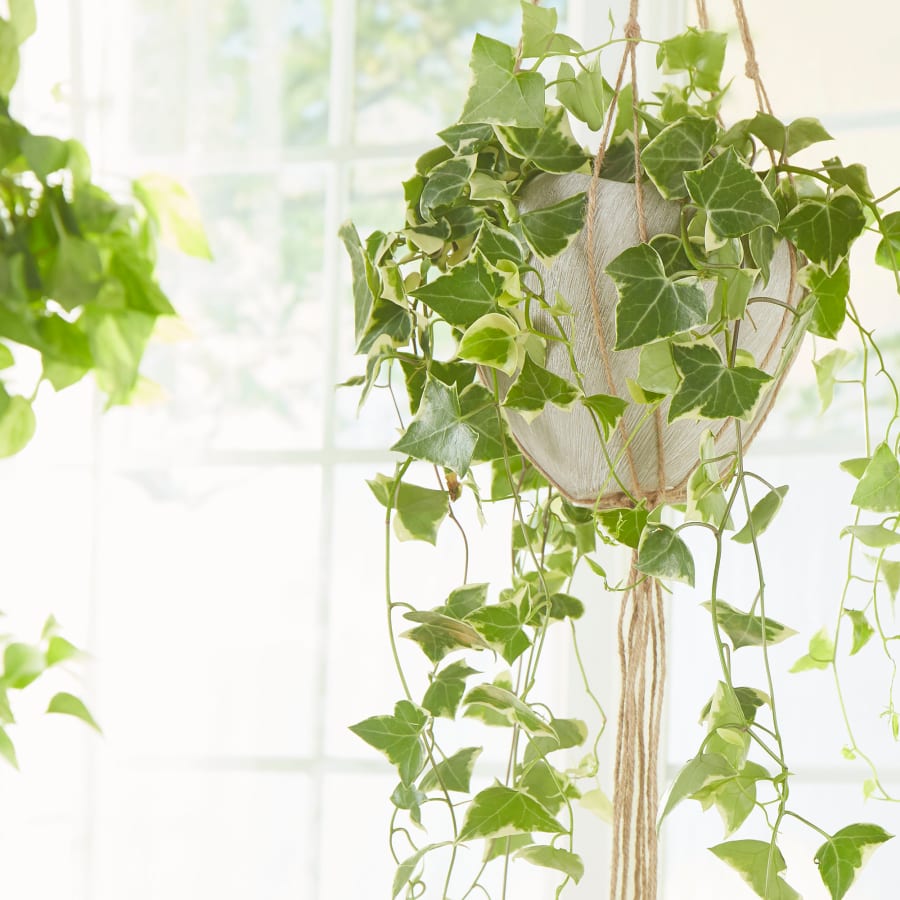 cyan-design-08733-alternate-view-10 cyan-design-08733-alternate-view-10