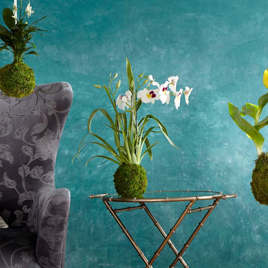 cyan-design-08826-alternate-image-1294