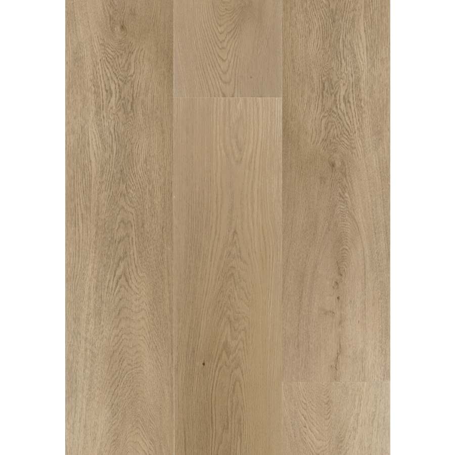 daltile-ab2397120l65msx-5481684