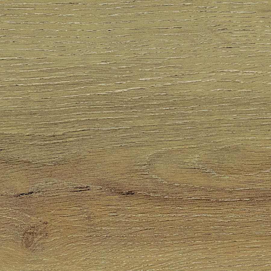 daltile-bp13rc96060-sample-5481684