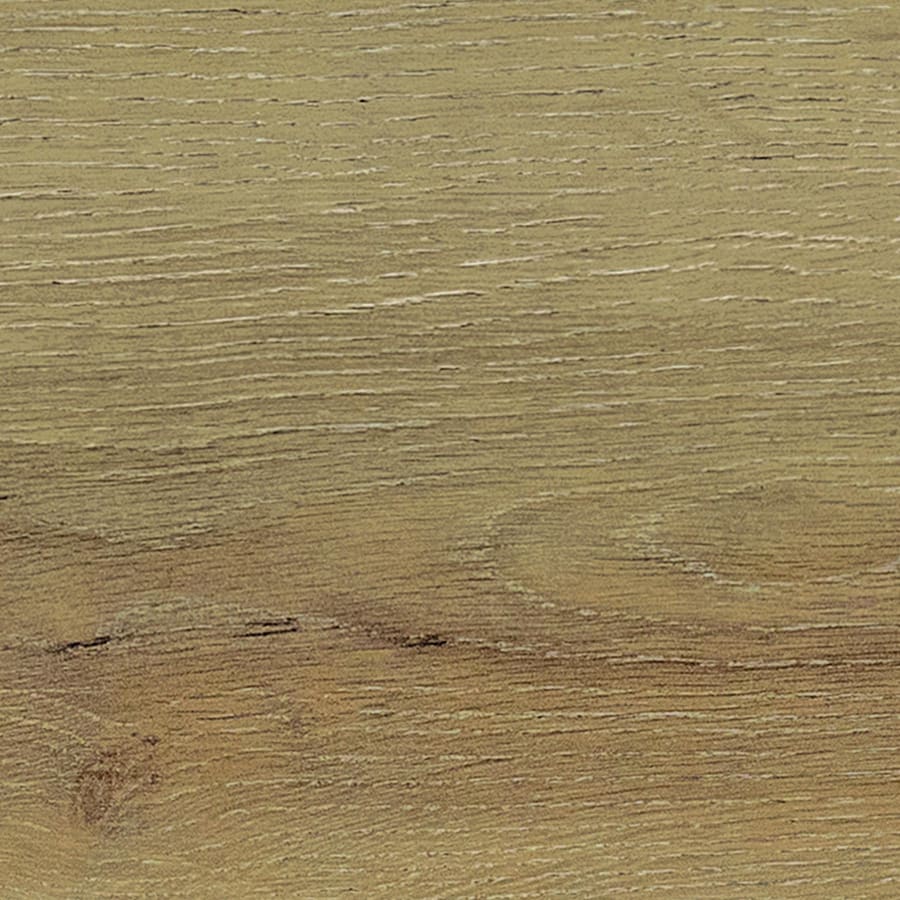 daltile-bp13rc96060-sample-5481684 daltile-bp13rc96060-sample-5481684