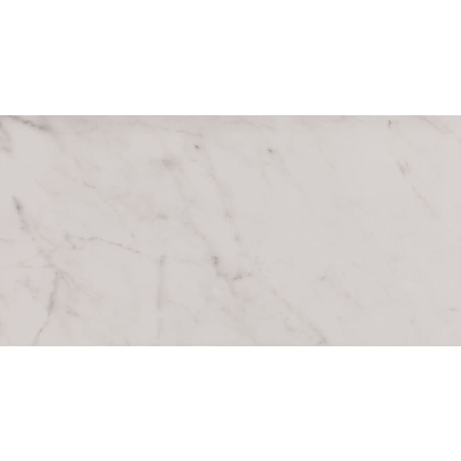 daltile-ct1224p-alternate-image-242 daltile-ct1224p-alternate-image-242