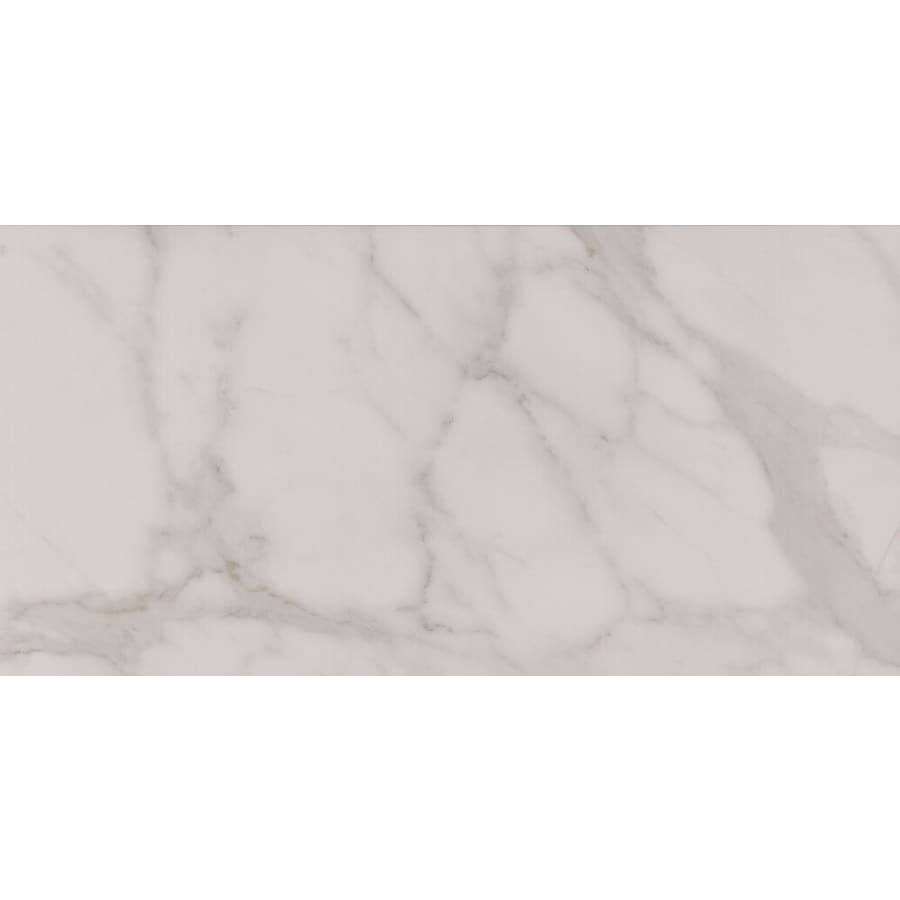 daltile-ct1224p-alternate-image-243 daltile-ct1224p-alternate-image-243