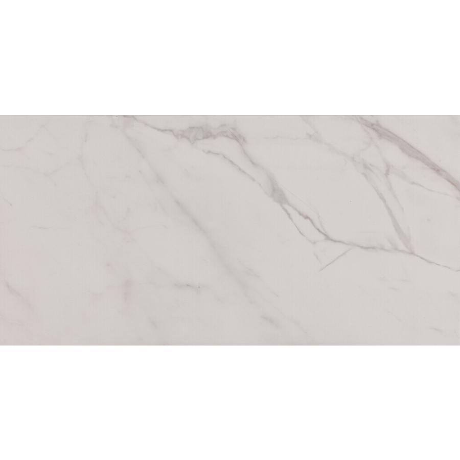 daltile-ct1224p-alternate-image-244