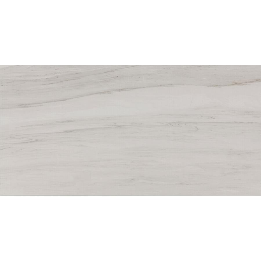 daltile-ct1224p-alternate-image-250