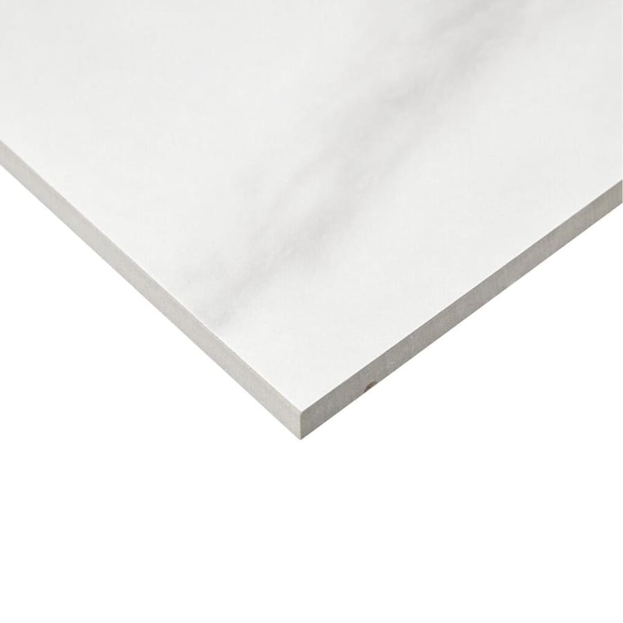 daltile-pt8hex1p2-alternate-image-568