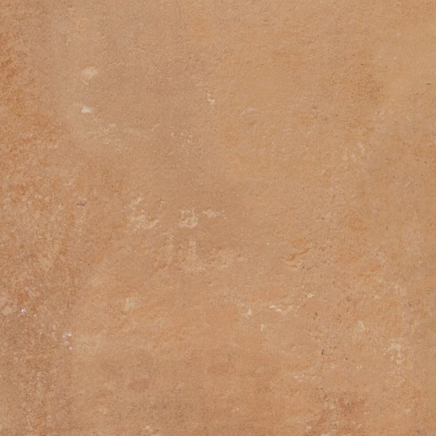 daltile-rk14xtp2424tx-9613305 daltile-rk14xtp2424tx-9613305