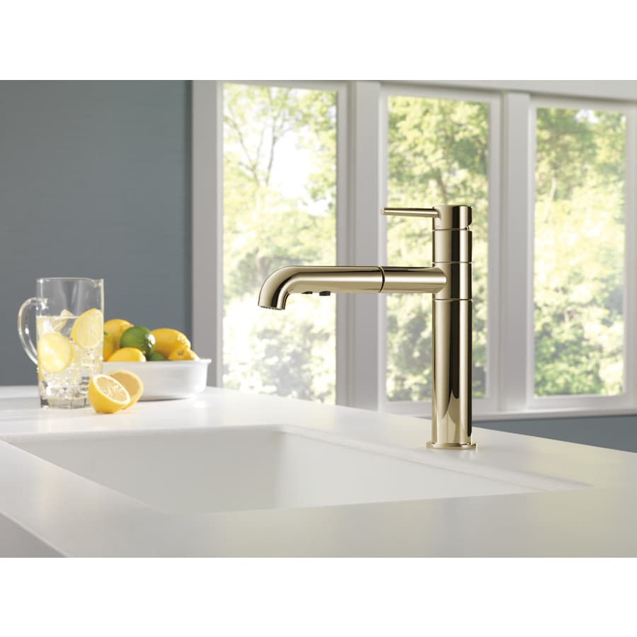 Delta 4159-AR-DST Trinsic Pull-Out Kitchen Faucet - Includes