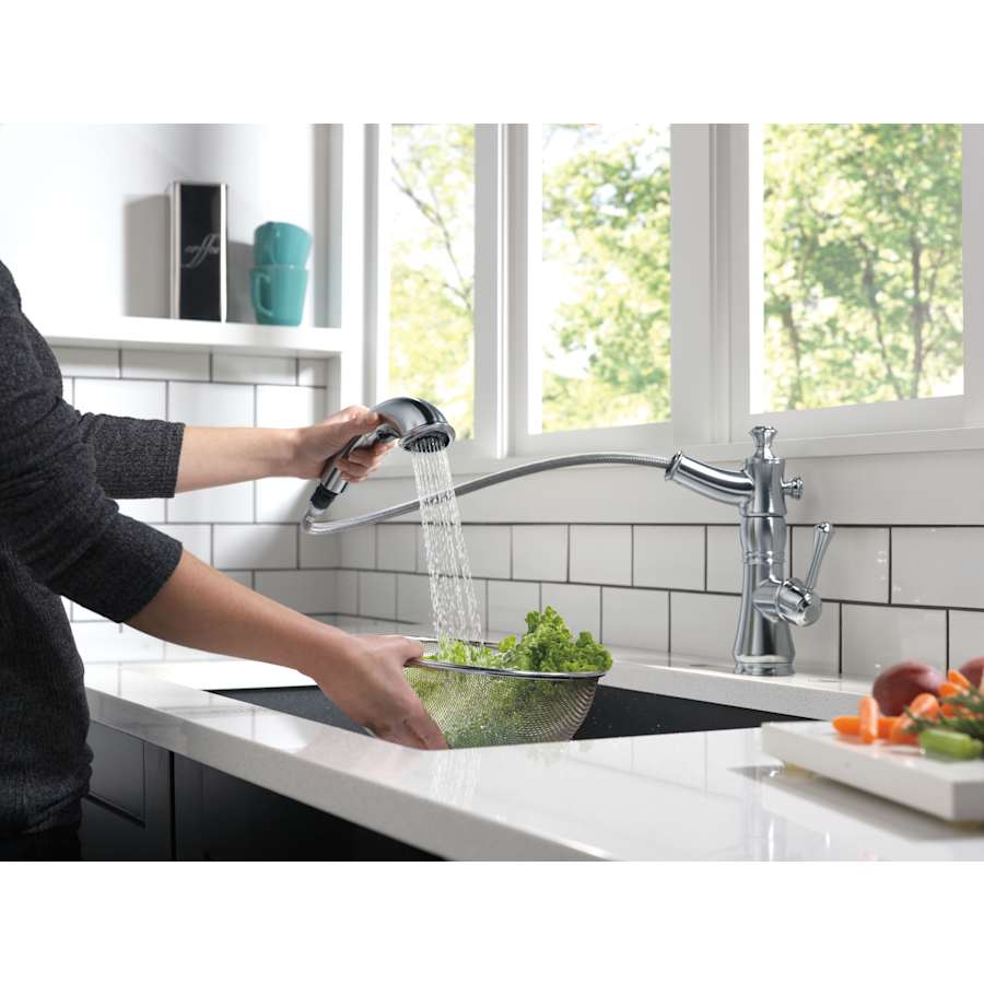 delta-4197-dst-spray-head-in-use-in-arctic-stainless-14