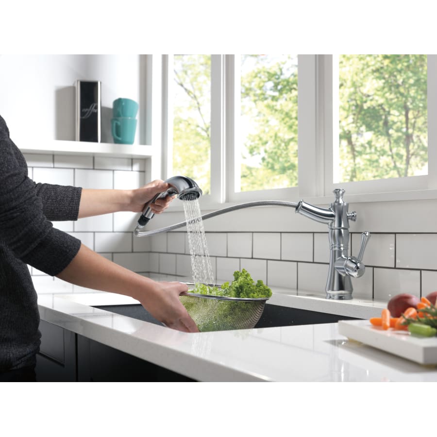 delta-4197-dst-spray-head-in-use-in-arctic-stainless-14 delta-4197-dst-spray-head-in-use-in-arctic-stainless-14