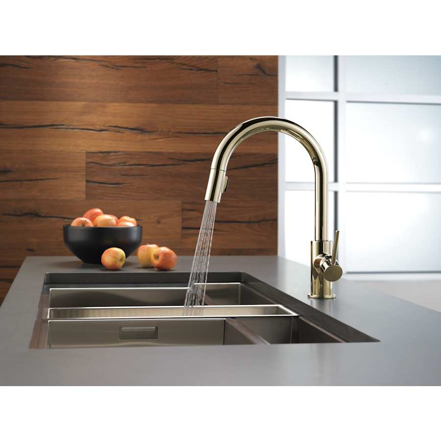 Delta 9159-CZ-DST Trinsic Pull-Down Kitchen Faucet with Magnetic