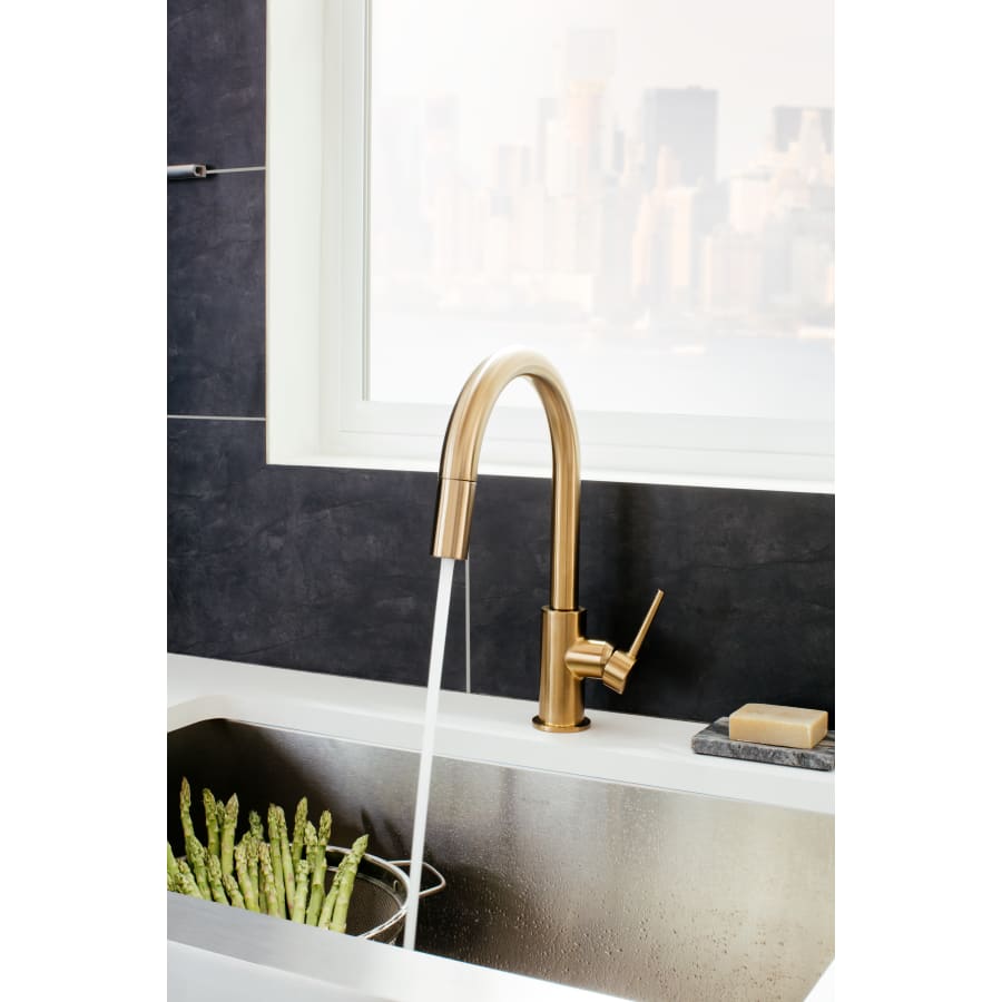 世界的に有名な Delta with Faucet Kitchen Pull-Down Trinsic 9159-CZ-DST 洋書