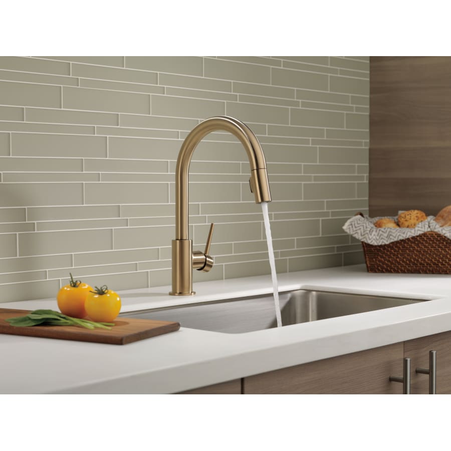 Delta 9159-CZ-DST Trinsic Pull-Down Kitchen Faucet with