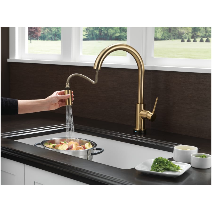 delta-9159t-dst-pull-out-spray-pattern-23 delta-9159t-dst-pull-out-spray-pattern-23