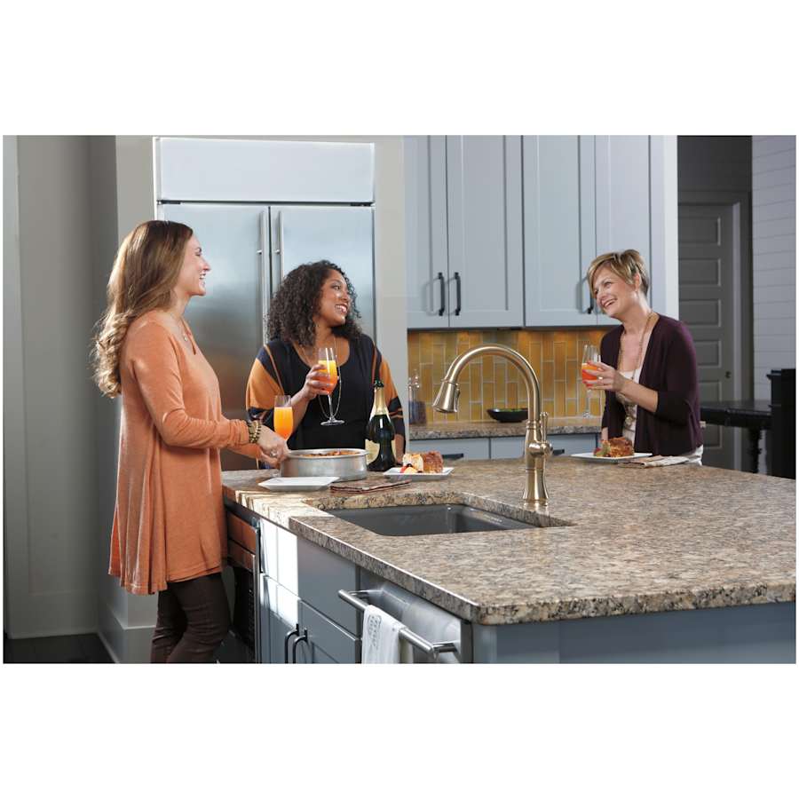 delta-9197-dst-kitchen-view-29