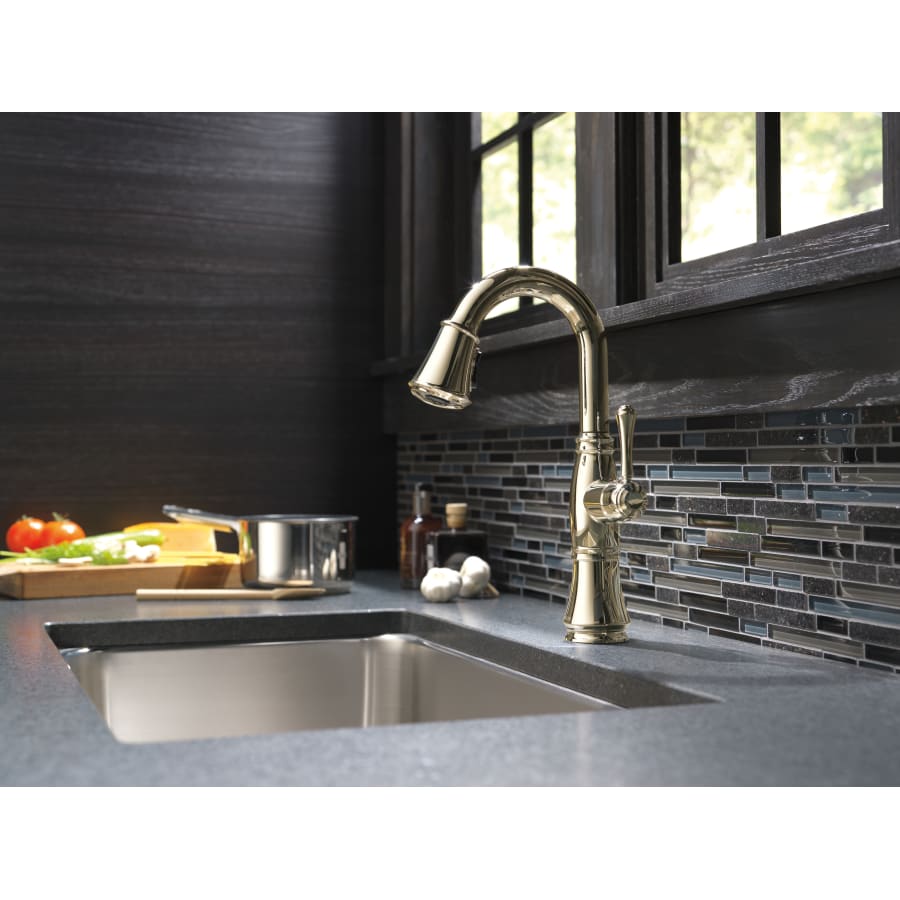 Delta-9997-DST-Polished Nickel Installed