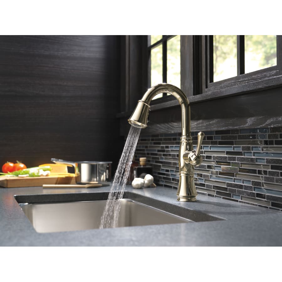 Delta-9997-DST-Polished Nickel Spray Function