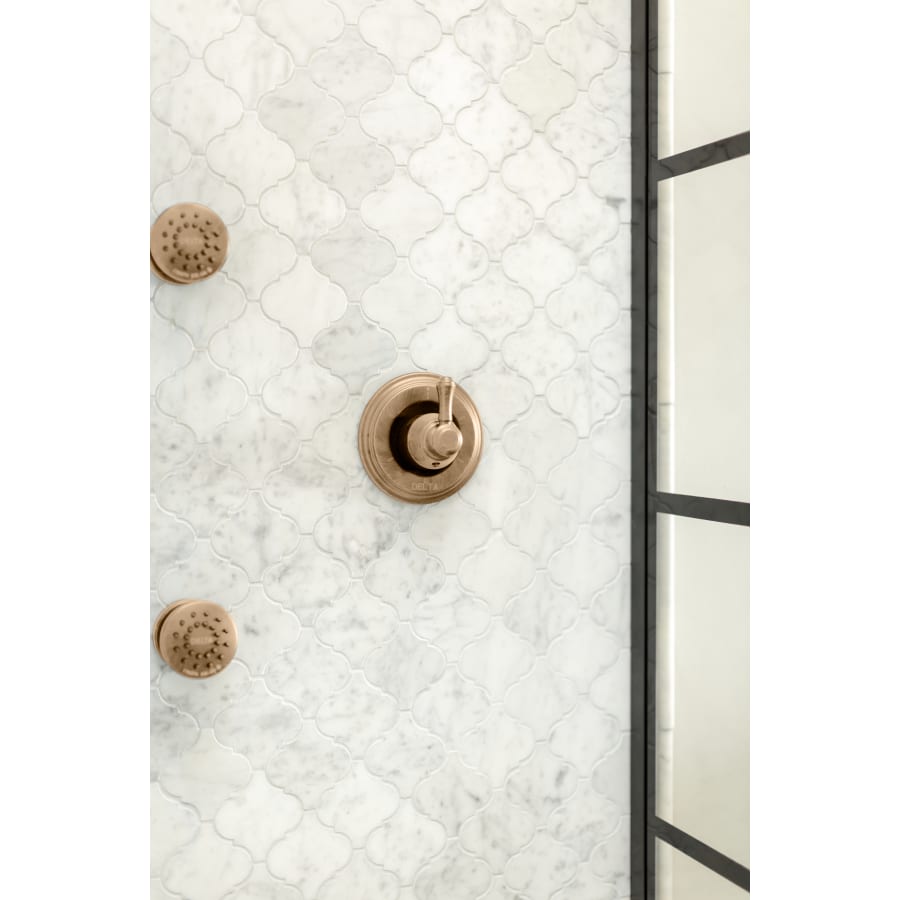 delta-h597-alternate-view-165 delta-h597-alternate-view-165