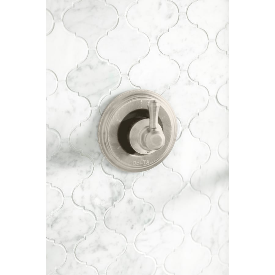 delta-h597-alternate-view-167 delta-h597-alternate-view-167