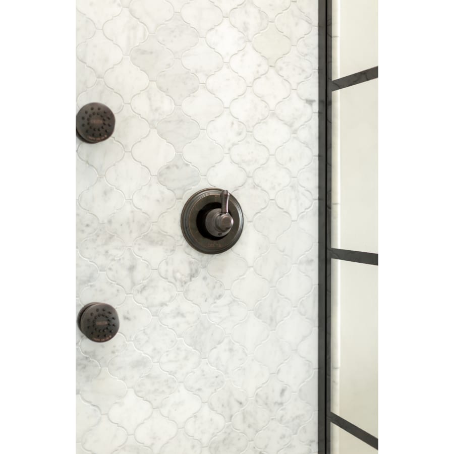 delta-h597-alternate-view-168 delta-h597-alternate-view-168