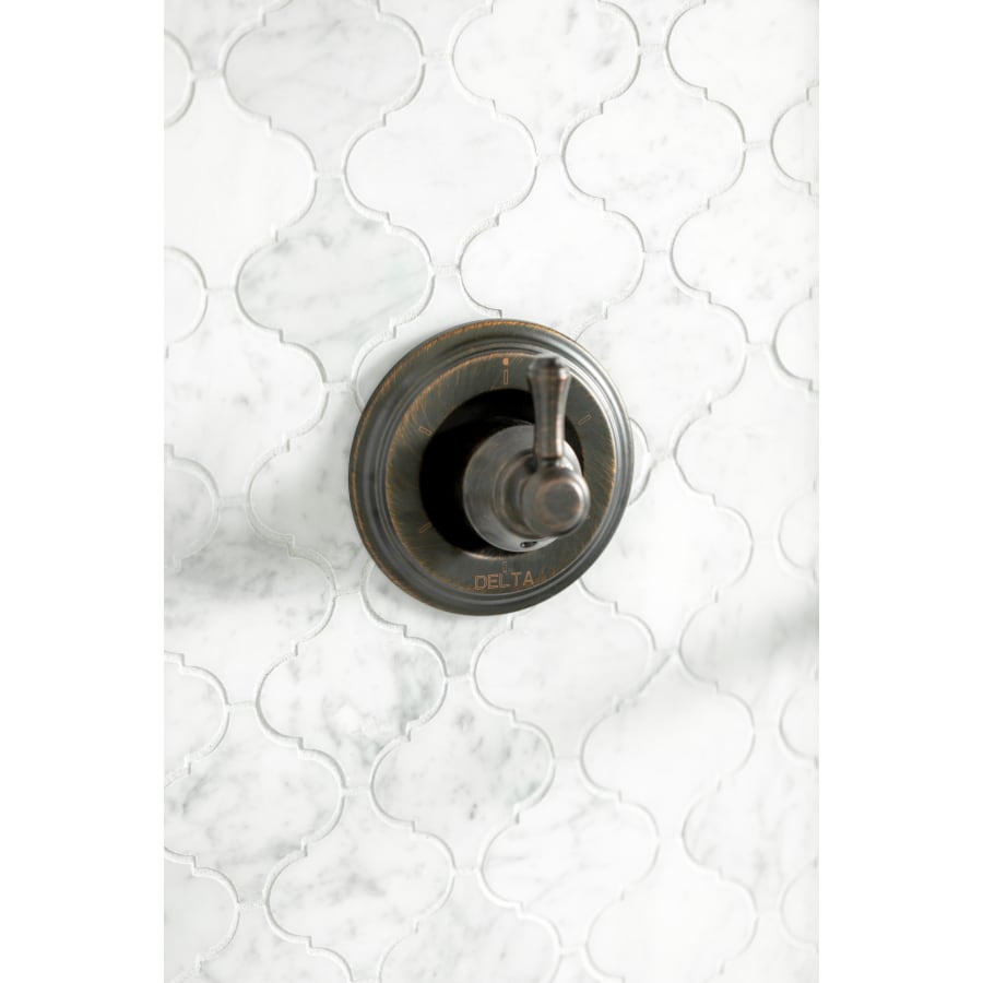 delta-h597-alternate-view-169 delta-h597-alternate-view-169